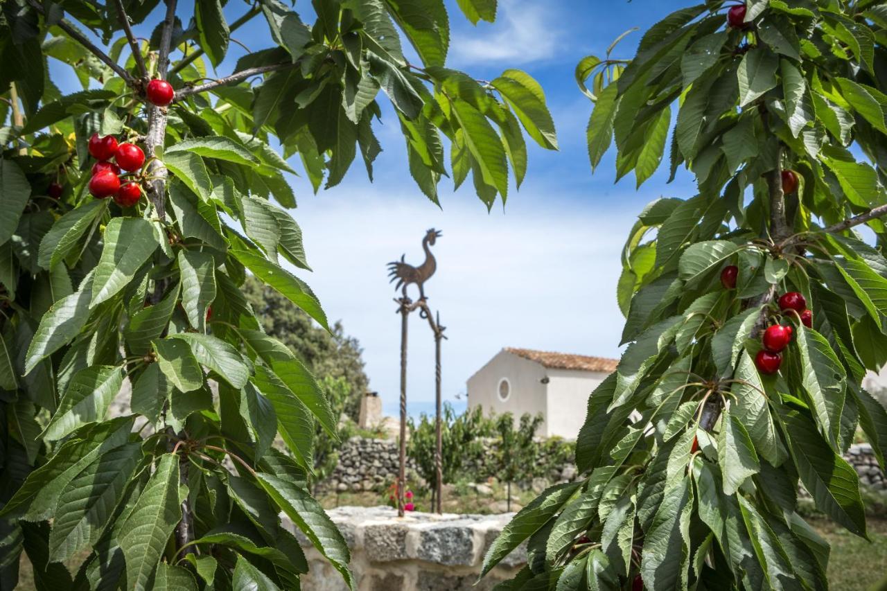 Gallicantu Stazzo Retreat Hotel Luogosanto